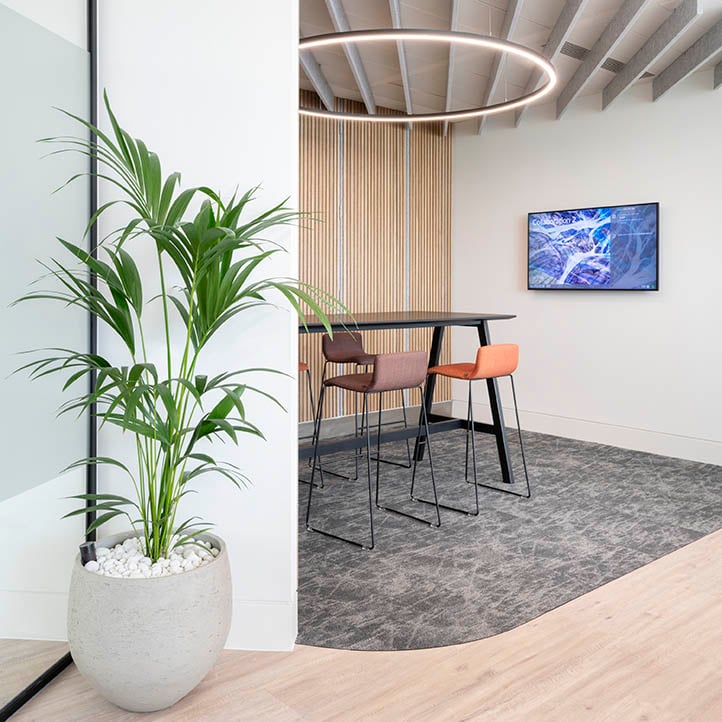 EFG's office with Milliken's Northward Bound 2.0/ Glacier/ Navigate carpet