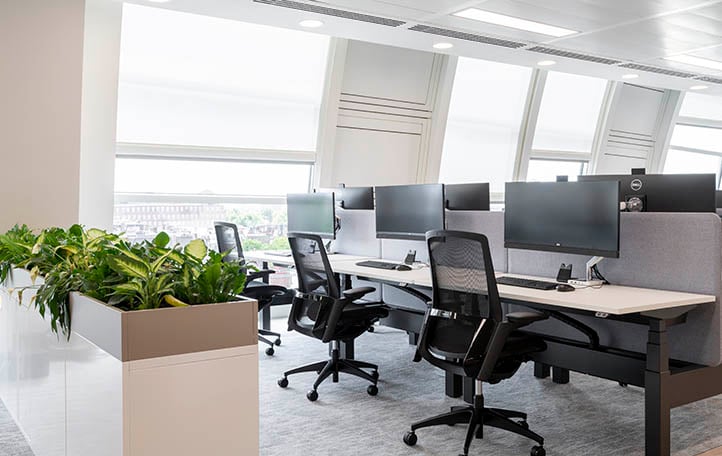 EFG's office with Milliken's Northward Bound/Glacier/ Encountered carpet