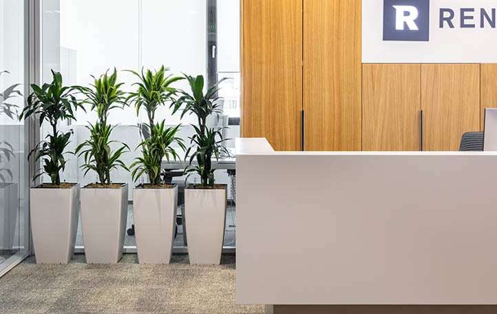 Renomia's reception area with Milliken Coastline/ Seascape/ Crush Carpet