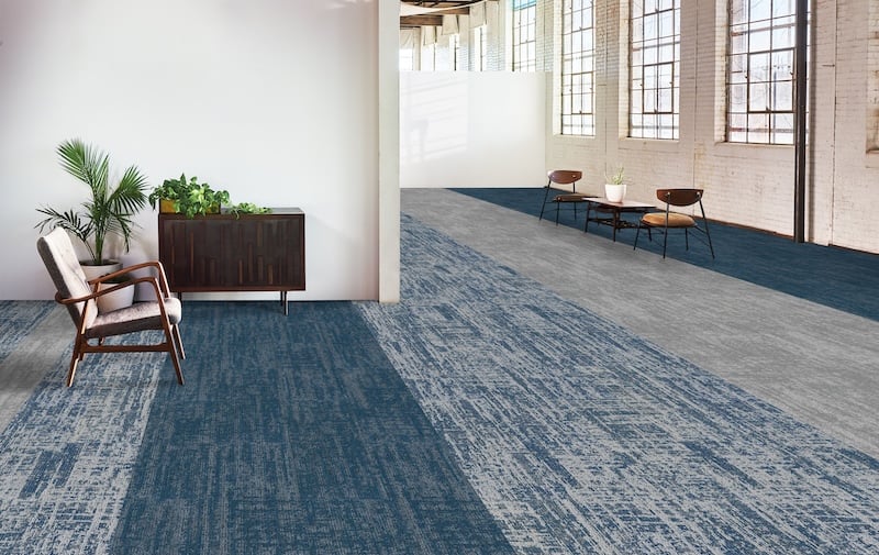 Major Frequency 2.0 - TEAL TREMORTEAL ANALOGUE