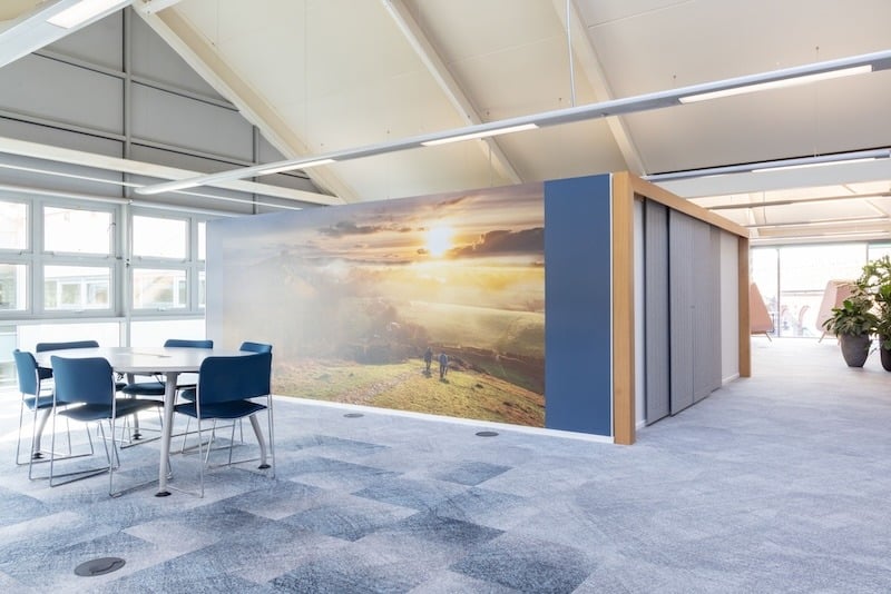 National Trust office with biomorphic shapes